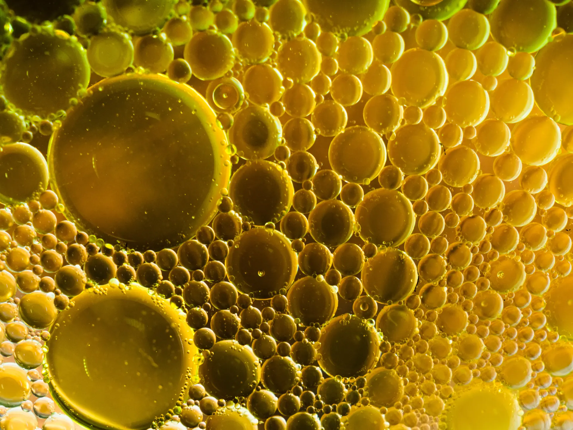 Yellow oil droplets